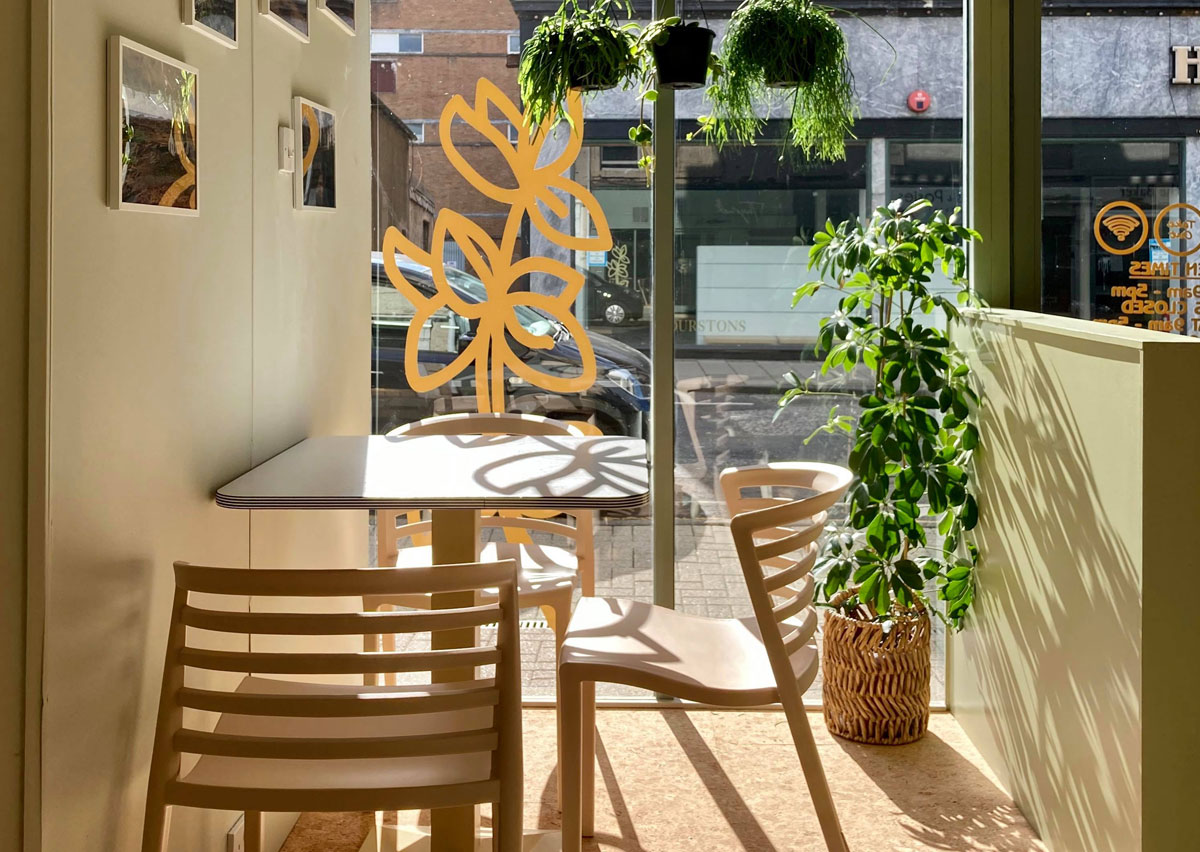 The window seating area of Cafe Thyme, Alloway Street, Ayr. The sun is shining and plants are hanging in the window.